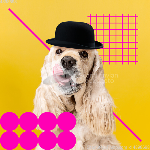 Image of Modern design, contemporary art collage with cute doggies