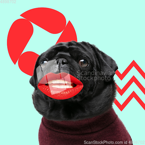 Image of Modern design, contemporary art collage with cute doggies