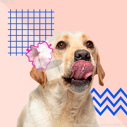 Image of Modern design, contemporary art collage with cute doggies