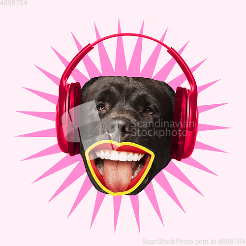 Image of Modern design, contemporary art collage with cute doggies