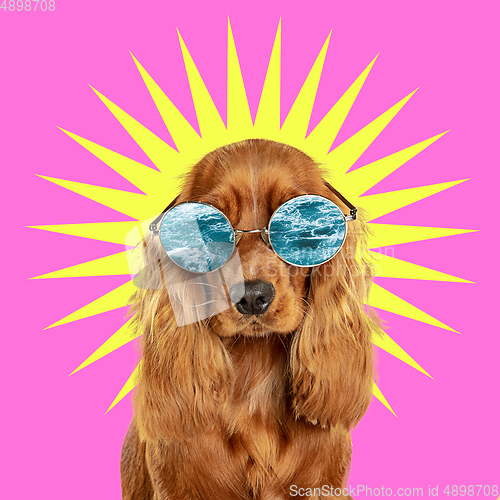 Image of Modern design, contemporary art collage with cute doggies