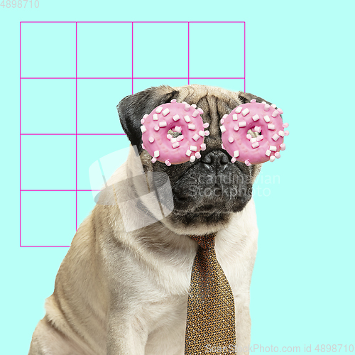 Image of Modern design, contemporary art collage with cute doggies