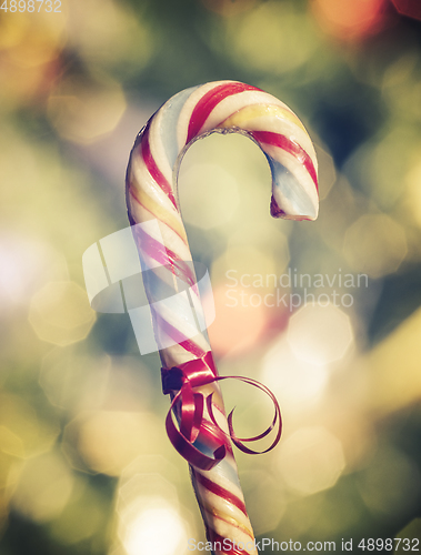 Image of Candy Cane