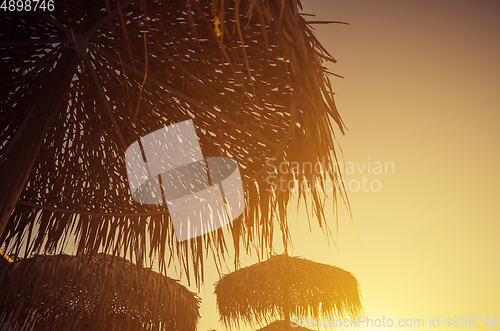 Image of Parasols