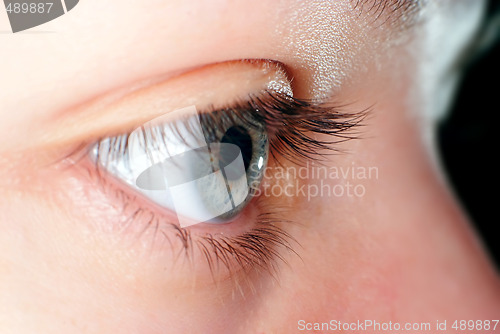 Image of Blue eye closeup