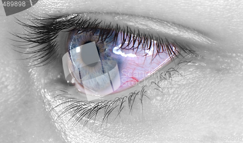 Image of Blue eye macro