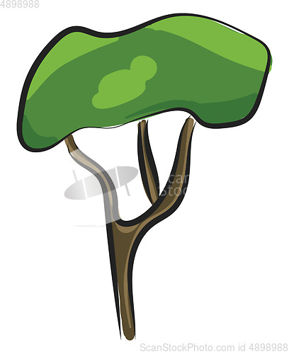 Image of Tree, vector or color illustration.