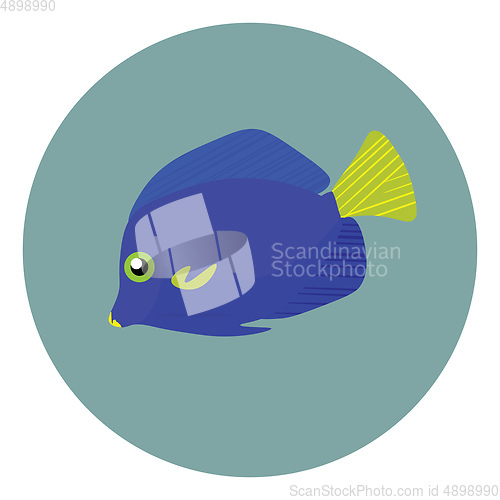 Image of The zebra soma fish , vector or color illustration.