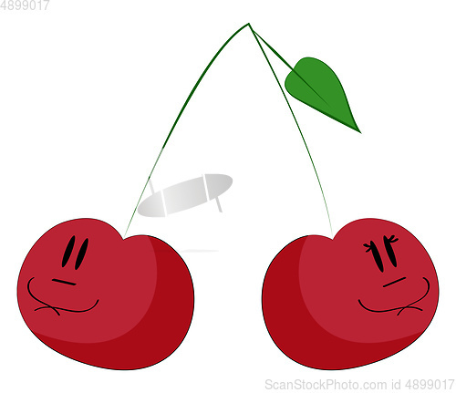 Image of Image of cherries, vector or color illustration.