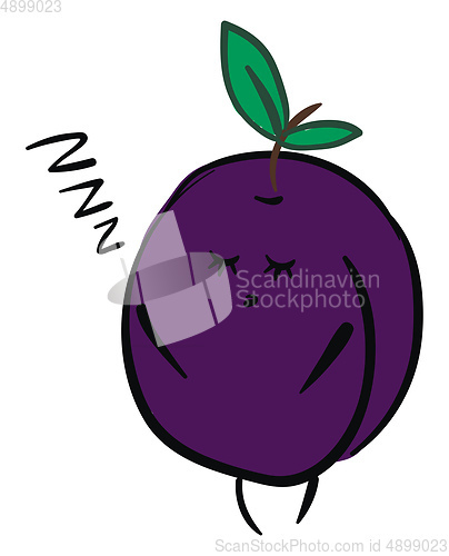 Image of Sleeping plum, vector or color illustration.