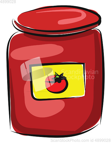 Image of Tomato, vector or color illustration.