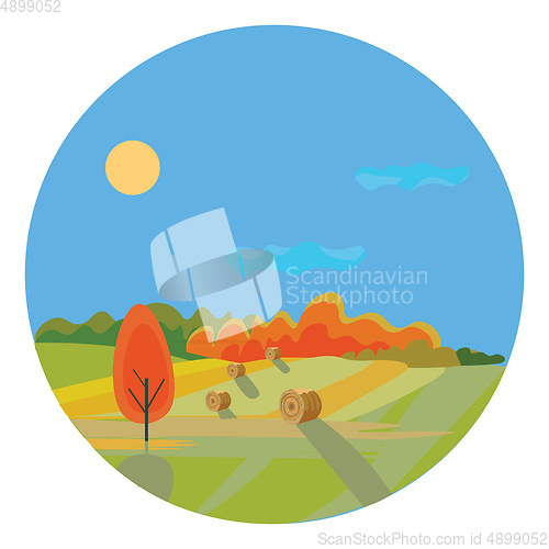 Image of Image of autumn landscape, vector or color illustration.