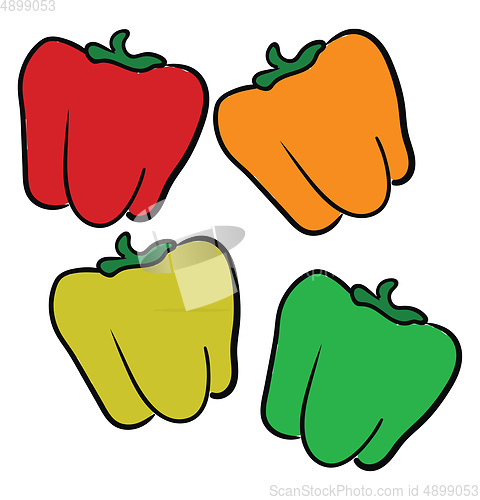 Image of Multi-colored peppers, vector or color illustration.