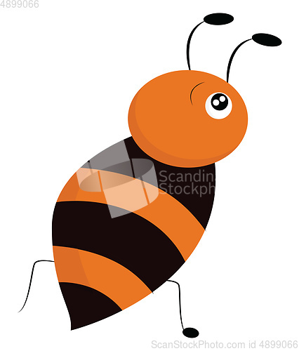 Image of Image e of honey bee, vector or color illustration.
