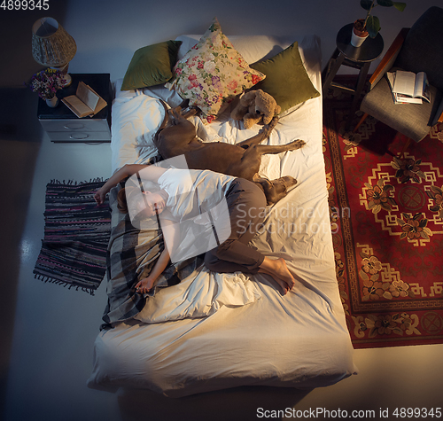 Image of Portrait of a woman, female breeder sleeping in the bed with her dog at home