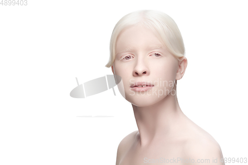 Image of Portrait of beautiful albino woman isolated on white studio background. Beauty, fashion, skincare, cosmetics concept.