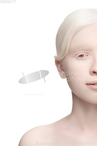 Image of Portrait of beautiful albino woman isolated on white studio background. Beauty, fashion, skincare, cosmetics concept.