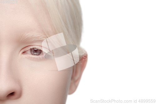 Image of Portrait of beautiful albino woman isolated on white studio background. Beauty, fashion, skincare, cosmetics concept.