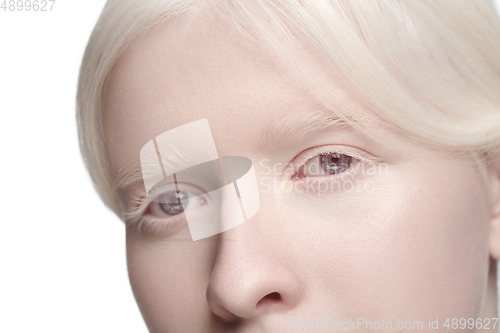Image of Portrait of beautiful albino woman isolated on white studio background. Beauty, fashion, skincare, cosmetics concept.