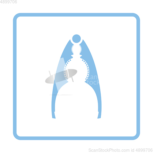 Image of Nutcracker pliers icon