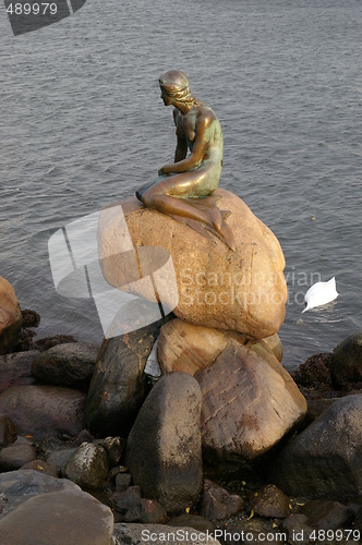 Image of The litle mermaid in Copenhagen