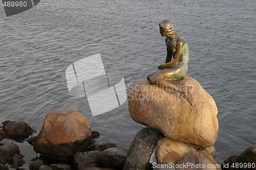 Image of The litle mermaid in Copenhagen