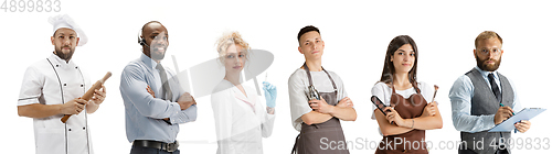 Image of Group of people with different professions isolated on white studio background, horizontal