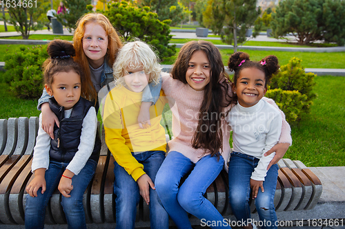 Image of Interracial group of kids, girls and boys playing together at the park in summer day