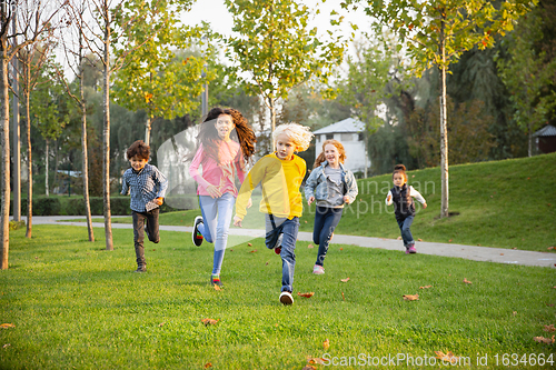 Image of Interracial group of kids, girls and boys playing together at the park in summer day