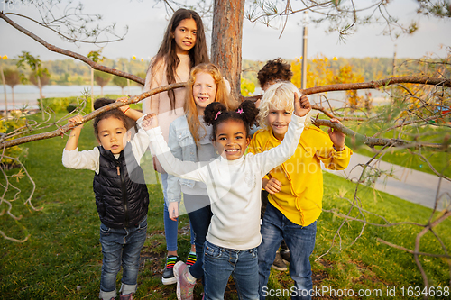 Image of Interracial group of kids, girls and boys playing together at the park in summer day