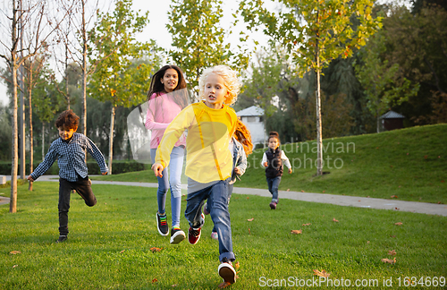 Image of Interracial group of kids, girls and boys playing together at the park in summer day