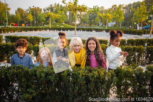 Image of Interracial group of kids, girls and boys playing together at the park in summer day