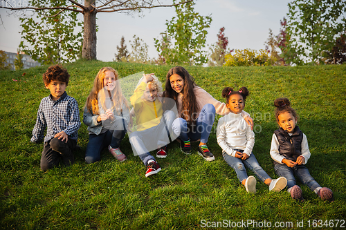 Image of Interracial group of kids, girls and boys playing together at the park in summer day