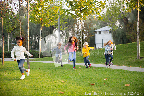 Image of Interracial group of kids, girls and boys playing together at the park in summer day