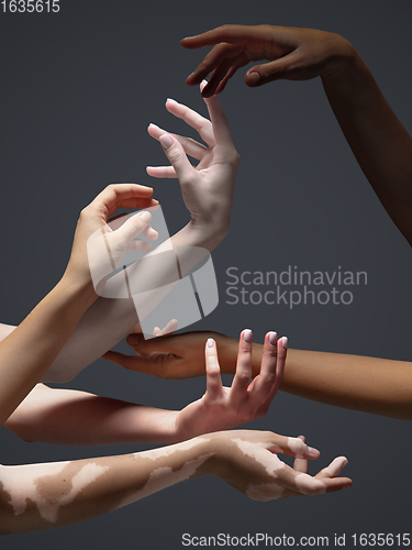 Image of Hands of different people in touch isolated on grey studio background. Concept of human relation, community, togetherness, inclusion