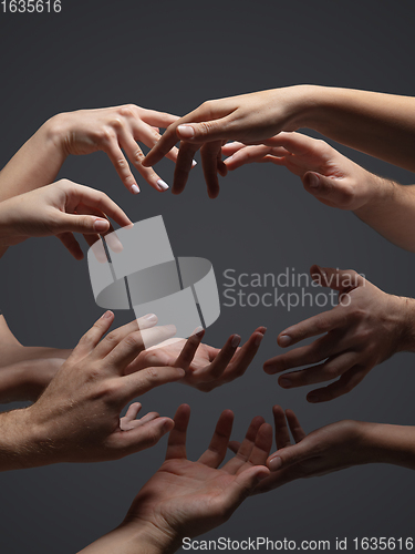 Image of Hands of people\'s crows in touch isolated on grey studio background. Concept of human relation, community, togetherness, symbolism