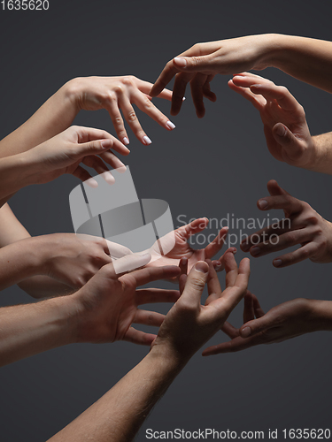 Image of Hands of people\'s crows in touch isolated on grey studio background. Concept of human relation, community, togetherness, symbolism