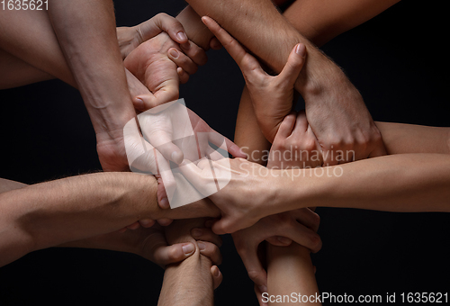 Image of Hands of people\'s crowd in touch isolated on black studio background. Concept of human relation, community, togetherness, symbolism