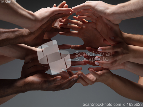 Image of Hands of people\'s crowd in touch isolated on grey studio background. Concept of human relation, community, togetherness, symbolism