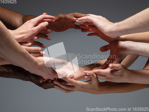 Image of Hands of people\'s crowd in touch isolated on grey studio background. Concept of human relation, community, togetherness, symbolism