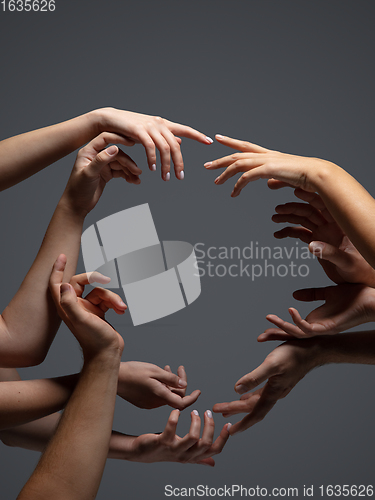 Image of Hands of people\'s crowd in touch isolated on grey studio background. Concept of human relation, community, togetherness, symbolism