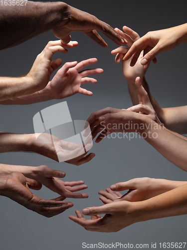 Image of Hands of people\'s crowd in touch isolated on grey studio background. Concept of human relation, community, togetherness, symbolism