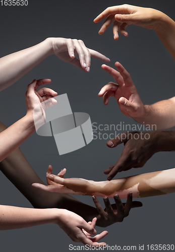 Image of Hands of different people in touch isolated on grey studio background. Concept of human relation, community, togetherness, inclusion