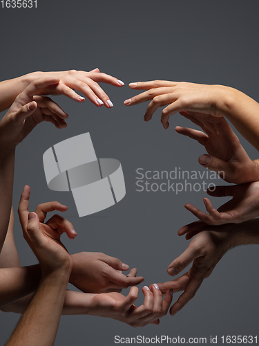 Image of Hands of people\'s crowd in touch isolated on grey studio background. Concept of human relation, community, togetherness, symbolism