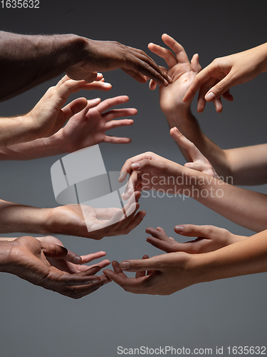 Image of Hands of people\'s crowd in touch isolated on grey studio background. Concept of human relation, community, togetherness, symbolism