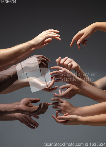 Image of Hands of people\'s crowd in touch isolated on grey studio background. Concept of human relation, community, togetherness, symbolism