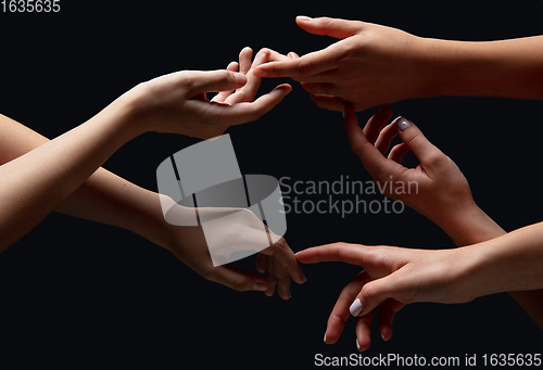 Image of Hands of people\'s crowd in touch isolated on black studio background. Concept of human relation, community, togetherness, symbolism