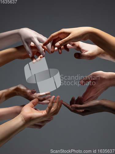 Image of Hands of different people in touch isolated on grey studio background. Concept of human relation, community, togetherness, inclusion