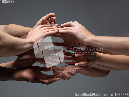 Image of Hands of people\'s crowd in touch isolated on grey studio background. Concept of human relation, community, togetherness, symbolism