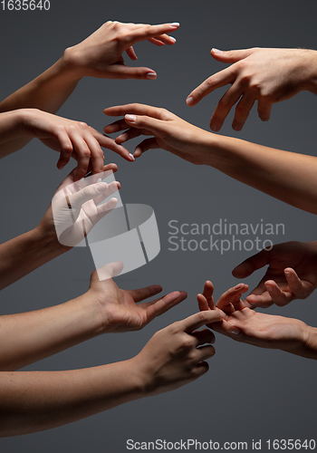 Image of Hands of people\'s crowd in touch isolated on grey studio background. Concept of human relation, community, togetherness, symbolism